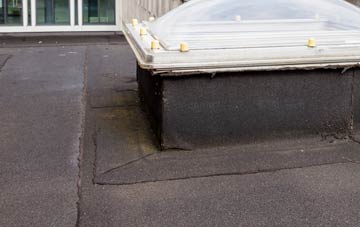 disadvantages of East March flat roofs