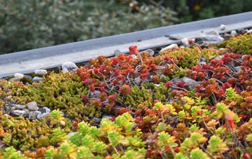 the cost of East March green roof installation